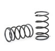 EIBACH Süspansiyon kiti, coil springs Set of 2 springs, Pro-Kit — Citroën Saxo (2)