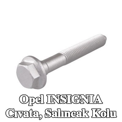 TEDGUM Cıvata, ön salıncak kolu, Ön aks her iki taraf, dış — Opel Insignia