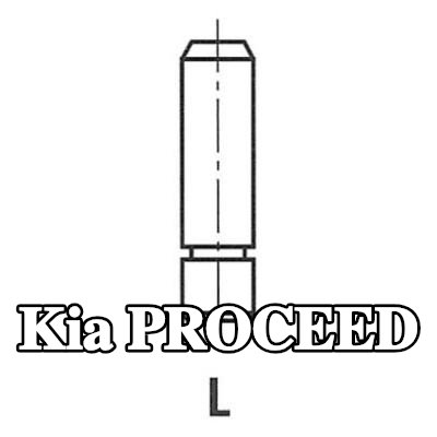 FRECCIA أدلة الصمامات — 2012 Kia Proceed