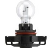 PHILIPS Ampul, arka sis lambası LongLife — Audi A3 (4)