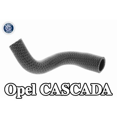 VAICO خرطوم الزيت — Opel Cascada