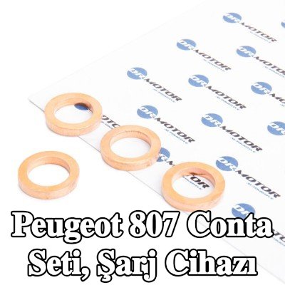 DR.MOTOR AUTOMOTIVE Conta seti, şarj cihazı — Peugeot 807