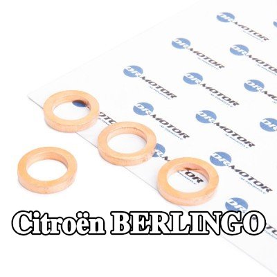DR.MOTOR AUTOMOTIVE مجموعة حشيات، الشاحن — Citroën Berlingo