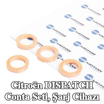 DR.MOTOR AUTOMOTIVE Conta seti, şarj cihazı — Citroën Dispatch