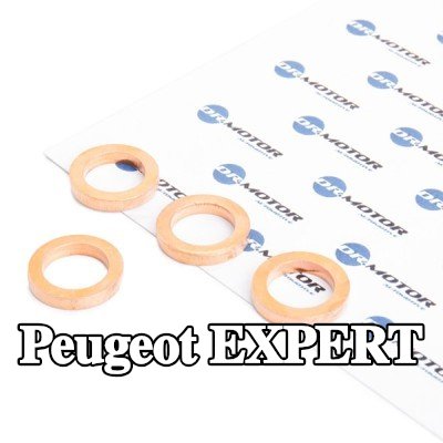 DR.MOTOR AUTOMOTIVE مجموعة حشيات، الشاحن — Peugeot Expert