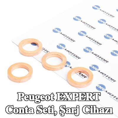 DR.MOTOR AUTOMOTIVE Conta seti, şarj cihazı — Peugeot Expert