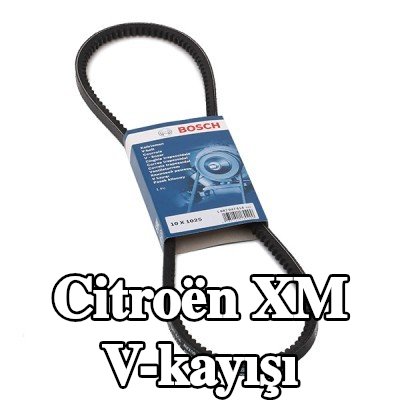 BOSCH V-kayışı 1025mm — Citroën Xm
