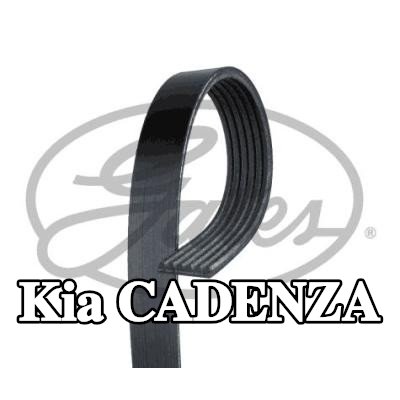 GATES حزام سيربنتين Micro-V, 2478mm, Number of ribs: 6 — Kia Cadenza