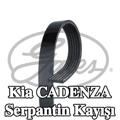 GATES Serpantin kayışı Micro-V, 2478mm, Number of ribs: 6 — Kia Cadenza