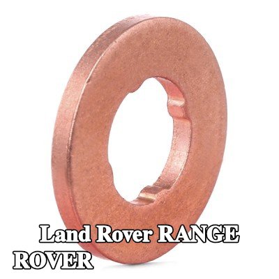 BOSCH حلقة مانعة للتسرب، حامل الفوهة — 2012 Land Rover Range Rover