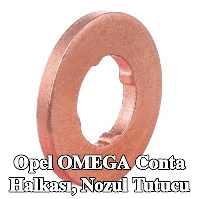 BOSCH Conta halkası, nozul tutucu — Opel Omega