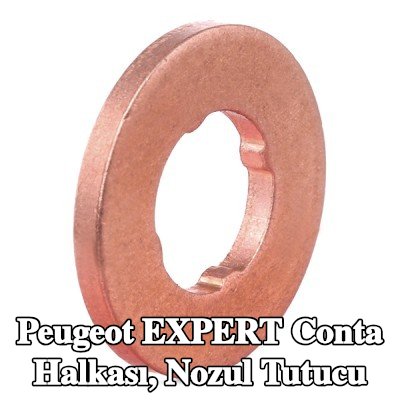 BOSCH Conta halkası, nozul tutucu — Peugeot Expert