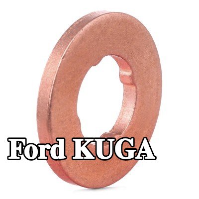BOSCH حلقة مانعة للتسرب، حامل الفوهة — 2012 Ford Kuga