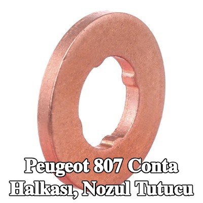 BOSCH Conta halkası, nozul tutucu — Peugeot 807