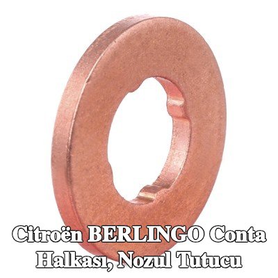BOSCH Conta halkası, nozul tutucu — 2000 Citroën Berlingo