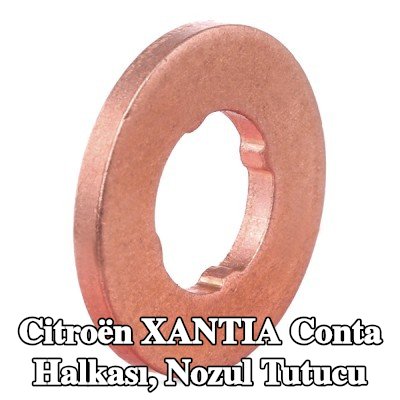 BOSCH Conta halkası, nozul tutucu — Citroën Xantia