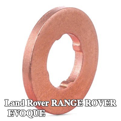 BOSCH حلقة مانعة للتسرب، حامل الفوهة — Land Rover Range Rover Evoque
