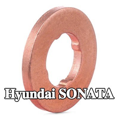 BOSCH حلقة مانعة للتسرب، حامل الفوهة — Hyundai Sonata