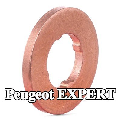 BOSCH حلقة مانعة للتسرب، حامل الفوهة — Peugeot Expert