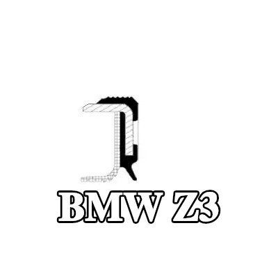 REINZ حشية عمود الكامات مع جلبة التثبيت — BMW Z3
