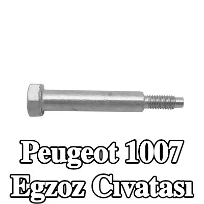 WALKER Egzoz cıvatası — Peugeot 1007