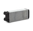 RIDEX Intercooler — Peugeot 206 (3)
