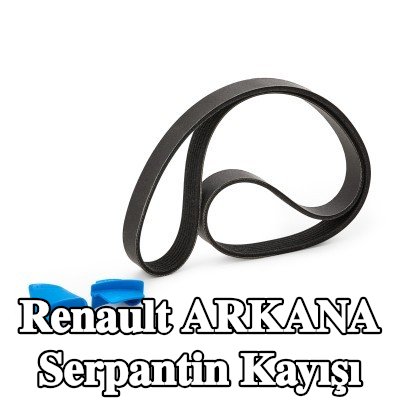 RIDEX PLUS Serpantin kayışı 1181mm, Number of ribs: 7 — 2020 Renault Arkana