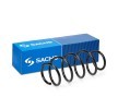 SACHS Helezon yay — 2011 Volkswagen Fox (1)