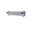 MAHLE Intercooler — DS Ds5 (2)