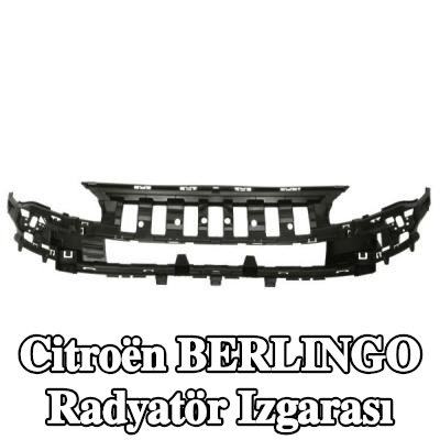 BLIC Ön radyatör ızgarası — 2000 Citroën Berlingo