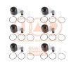 IAP QUALITY PARTS Piston segmanlı piston — Citroën C6 (2)