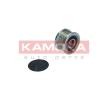 KAMOKA Alternatör debriyaj kasnağı — Volkswagen Fox (3)
