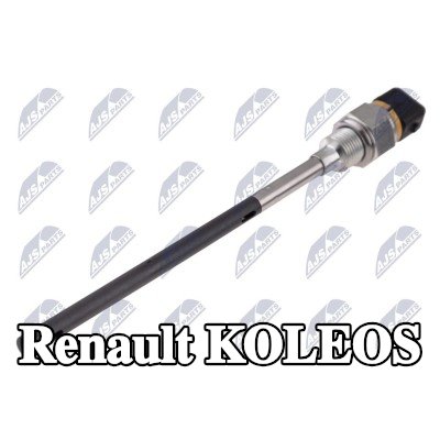 NTY جهاز استشعار، مستوى زيت المحرك — Renault Koleos