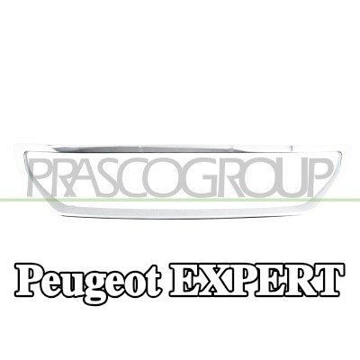 PRASCO إطار، شبكة المبرد — Peugeot Expert