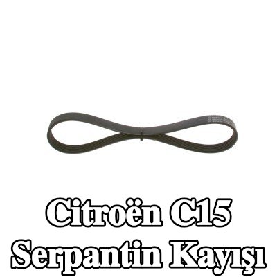 BOSCH Serpantin kayışı 745mm, Number of ribs: 6 — Citroën C15