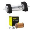 RIDEX PLUS Filtre kiti — Audi A5 (1)
