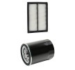RIDEX PLUS Filtre kiti — 2000 Honda Civic (1)