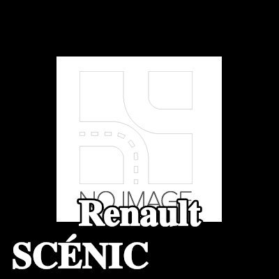 RENAULT خرطوم القابض — Renault Scénic