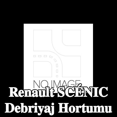 RENAULT Debriyaj hortumu — Renault Scénic