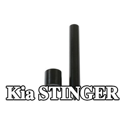 Gunson طقم التثبيت، غطاء المحرك — Kia Stinger