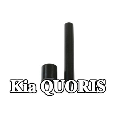 Gunson طقم التثبيت، غطاء المحرك — Kia Quoris