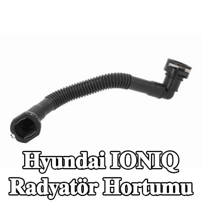 ACKOJA Radyatör hortumu — Hyundai Ioniq