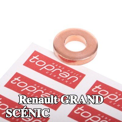 TOPRAN واقي حراري، نظام الحقن — 2012 Renault Grand Scénic