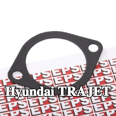 EPS حشية, ثرموستات صنع في إيطاليا - مكافئ للمعدات الأصلية — Hyundai Trajet