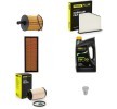 RIDEX PLUS Motor yağı filtre seti — SEAT Altea (1)