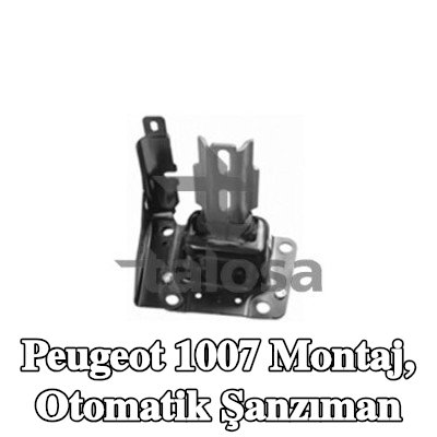 TALOSA Montaj, otomatik şanzıman orta — 2005 Peugeot 1007