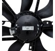 VALEO Fan, tutuculu radyatör — Renault Scénic (5)