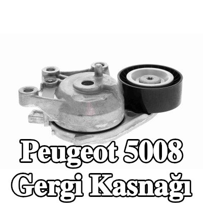 VAICO Tutuculu gergi kasnağı — Peugeot 5008