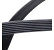 BOSCH Serpantin kayışı 1970mm, Number of ribs: 7 — Renault Master (3)