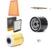 RIDEX Servis kiti — Renault Megane (1)